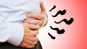 Men vi sinh giúp cải thiện tình trạng đầy bụng