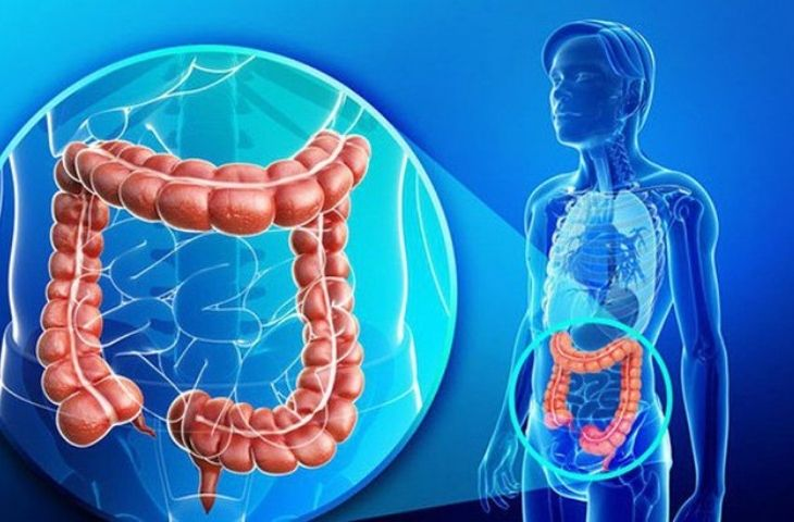Men vi sinh có thể giúp gì cho người bị IBS?
