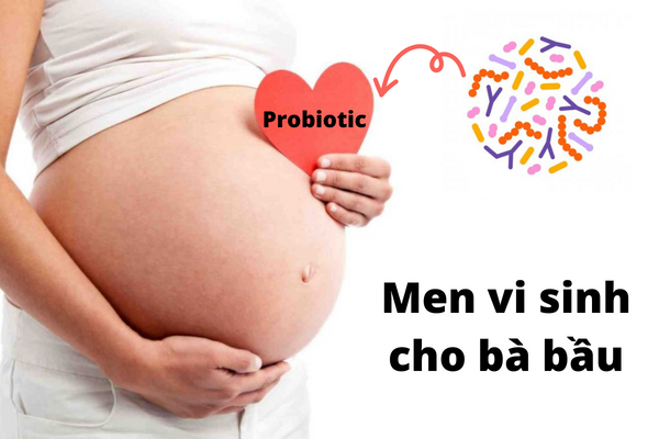 Các chủng men vi sinh nào được khuyến nghị cho phụ nữ mang thai?