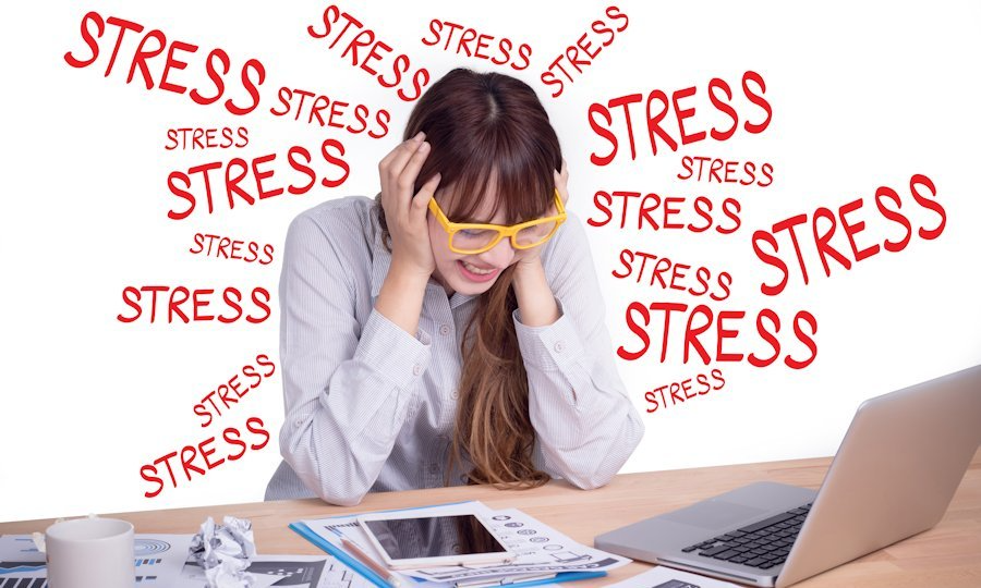 Các chủng men vi sinh nào được nghiên cứu về tác dụng giảm căng thẳng và lo âu?